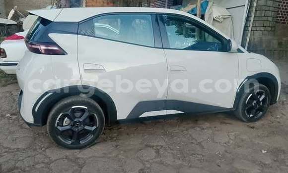 Buy Used BYD Seagull Other Car in Addis–Ababa in Ethiopia Buy Used BYD Seagull Other Car in Addis–Ababa in Ethiopia