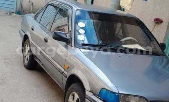 Buy Used Toyota WiLL Other Car in Addis–Ababa in Ethiopia Buy Used Toyota WiLL Other Car in Addis–Ababa in Ethiopia