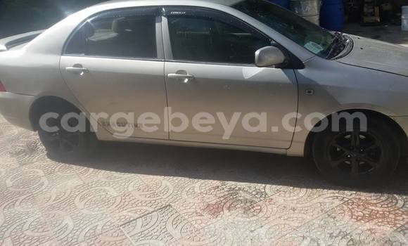 Acheter Occasion Voiture Toyota Corolla Gris à Addis Ababa, Ethiopie Acheter Occasion Voiture Toyota Corolla Gris à Addis Ababa, Ethiopie