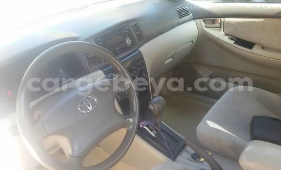 Acheter Occasion Voiture Toyota Corolla Gris à Addis Ababa, Ethiopie Acheter Occasion Voiture Toyota Corolla Gris à Addis Ababa, Ethiopie