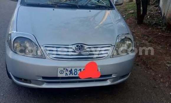 Buy Used Toyota Corolla White Car in Addis–Ababa in Ethiopia