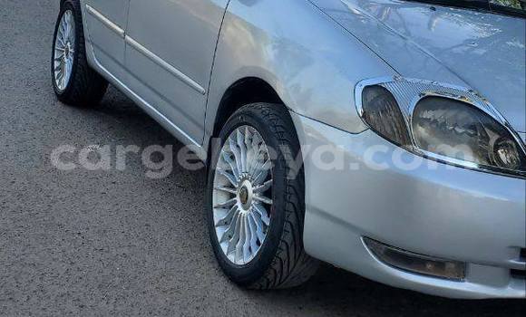 Buy Used Toyota Corolla White Car in Addis–Ababa in Ethiopia Buy Used Toyota Corolla White Car in Addis–Ababa in Ethiopia
