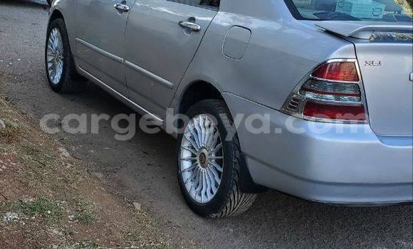 Buy Used Toyota Corolla White Car in Addis–Ababa in Ethiopia Buy Used Toyota Corolla White Car in Addis–Ababa in Ethiopia