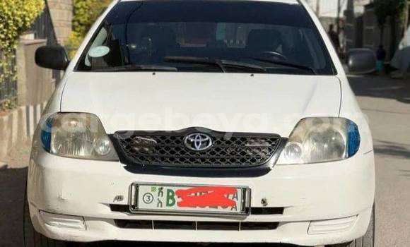 Buy Used Toyota Corolla White Car in Addis–Ababa in Ethiopia