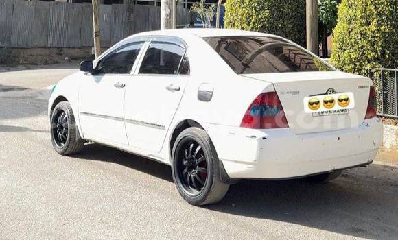 Buy Used Toyota Corolla White Car in Addis–Ababa in Ethiopia Buy Used Toyota Corolla White Car in Addis–Ababa in Ethiopia