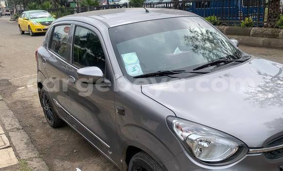 Buy Used Suzuki Celerio Other Car in Addis–Ababa in Ethiopia Buy Used Suzuki Celerio Other Car in Addis–Ababa in Ethiopia