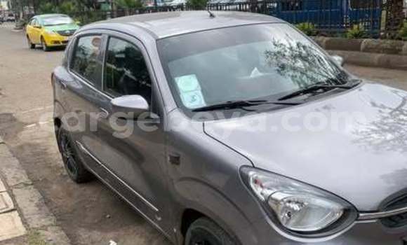 Buy Used Suzuki Celerio Other Car in Addis–Ababa in Ethiopia Buy Used Suzuki Celerio Other Car in Addis–Ababa in Ethiopia
