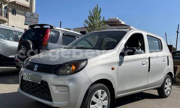 Buy Used Suzuki Alto White Car in Addis–Ababa in Ethiopia Buy Used Suzuki Alto White Car in Addis–Ababa in Ethiopia