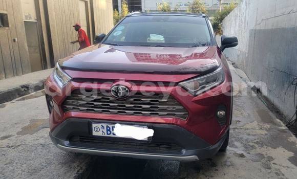 ይግዙ ያገለገለ Toyota RAV4 ቀይ መኪና በ Addis ababa በ Africa ይግዙ ያገለገለ Toyota RAV4 ቀይ መኪና በ Addis ababa በ Africa