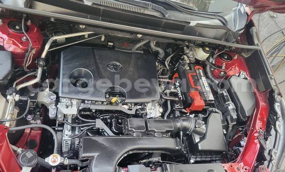 ይግዙ ያገለገለ Toyota RAV4 ቀይ መኪና በ Addis ababa በ Africa ይግዙ ያገለገለ Toyota RAV4 ቀይ መኪና በ Addis ababa በ Africa