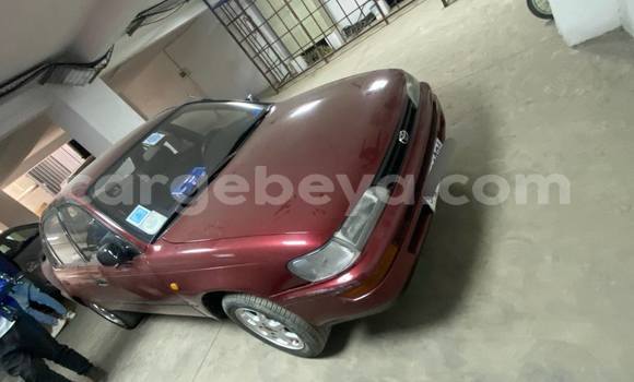 Buy Used Toyota Corolla Red Car in Addis–Ababa in Ethiopia Buy Used Toyota Corolla Red Car in Addis–Ababa in Ethiopia