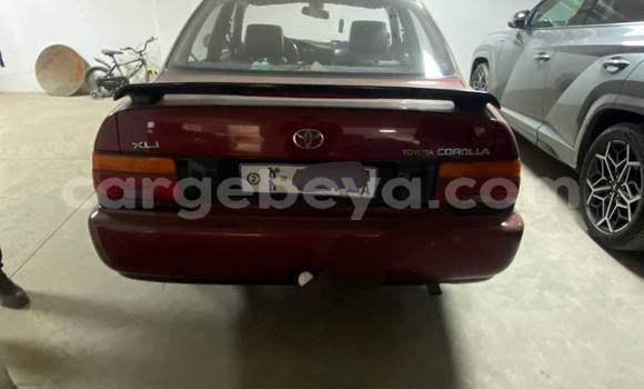 ይግዙ ያገለገለ Toyota Corolla ቀይ መኪና በ አዲስ አበባ በ ኢትዮጵያ ይግዙ ያገለገለ Toyota Corolla ቀይ መኪና በ አዲስ አበባ በ ኢትዮጵያ