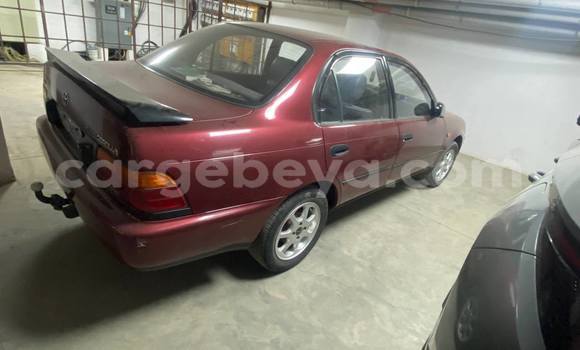 ይግዙ ያገለገለ Toyota Corolla ቀይ መኪና በ አዲስ አበባ በ ኢትዮጵያ ይግዙ ያገለገለ Toyota Corolla ቀይ መኪና በ አዲስ አበባ በ ኢትዮጵያ