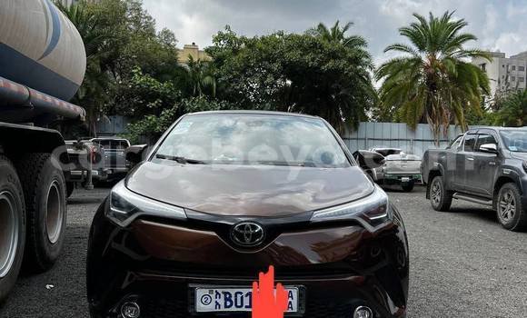 ይግዙ ያገለገለ Toyota C-HR ሌላ መኪና በ Addis ababa በ Africa ይግዙ ያገለገለ Toyota C-HR ሌላ መኪና በ Addis ababa በ Africa