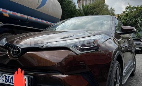 ይግዙ ያገለገለ Toyota C-HR ሌላ መኪና በ Addis ababa በ Africa ይግዙ ያገለገለ Toyota C-HR ሌላ መኪና በ Addis ababa በ Africa