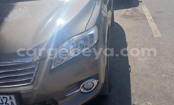 ይግዙ ያገለገለ Toyota RAV4 ሌላ መኪና በ Addis ababa በ Africa ይግዙ ያገለገለ Toyota RAV4 ሌላ መኪና በ Addis ababa በ Africa