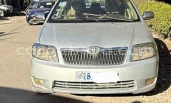 Buy Used Toyota Corolla White Car in Addis–Ababa in Ethiopia