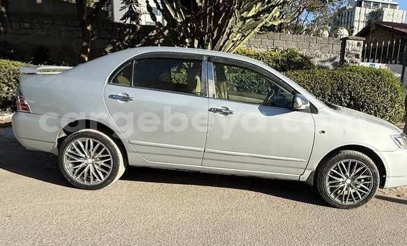 ይግዙ ያገለገለ Toyota Corolla ነጭ መኪና በ አዲስ አበባ በ ኢትዮጵያ ይግዙ ያገለገለ Toyota Corolla ነጭ መኪና በ አዲስ አበባ በ ኢትዮጵያ