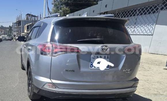 ይግዙ ያገለገለ Toyota RAV4 ሌላ መኪና በ አዲስ አበባ በ ኢትዮጵያ ይግዙ ያገለገለ Toyota RAV4 ሌላ መኪና በ አዲስ አበባ በ ኢትዮጵያ