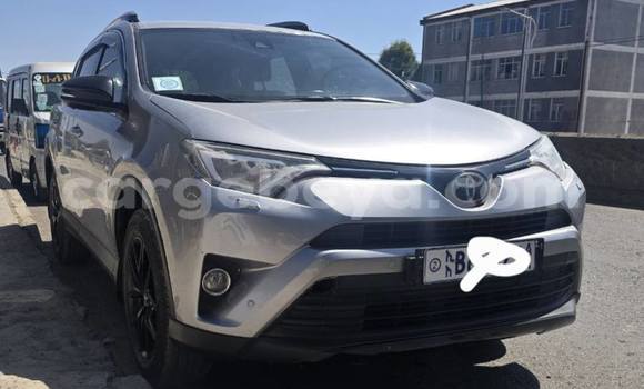 ይግዙ ያገለገለ Toyota RAV4 ሌላ መኪና በ አዲስ አበባ በ ኢትዮጵያ ይግዙ ያገለገለ Toyota RAV4 ሌላ መኪና በ አዲስ አበባ በ ኢትዮጵያ