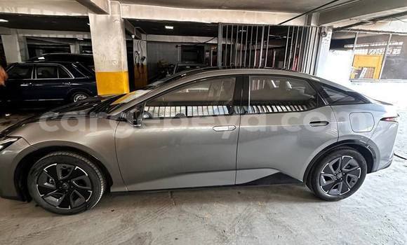 ይግዙ ያገለገለ Toyota Surf ሌላ መኪና በ አዲስ አበባ በ ኢትዮጵያ ይግዙ ያገለገለ Toyota Surf ሌላ መኪና በ አዲስ አበባ በ ኢትዮጵያ