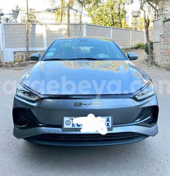 Big with watermark byd e6 ethiopia addis ababa 13201