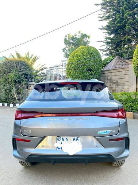 Big with watermark byd e6 ethiopia addis ababa 13201