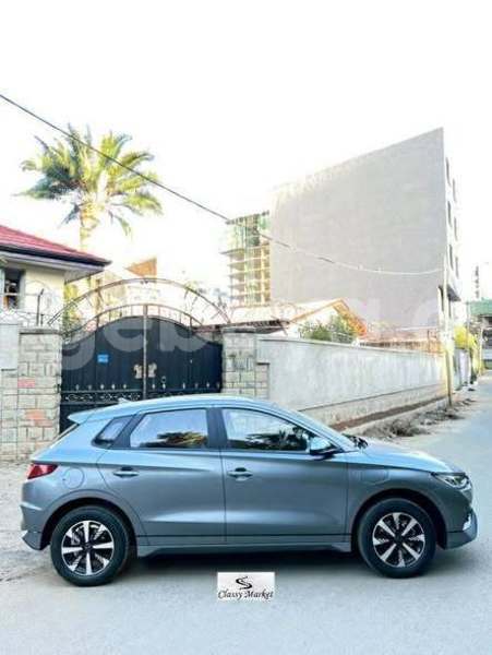 Big with watermark byd e6 ethiopia addis ababa 13201