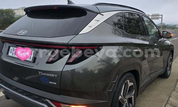 ይግዙ ያገለገለ Hyundai Tucson ሌላ መኪና በ Addis ababa በ Africa ይግዙ ያገለገለ Hyundai Tucson ሌላ መኪና በ Addis ababa በ Africa