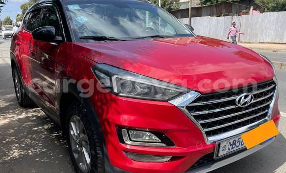 Buy Used Hyundai Tucson Red Car in Addis–Ababa in Ethiopia