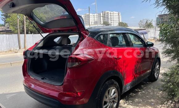 ይግዙ ያገለገለ Hyundai Tucson ቀይ መኪና በ አዲስ አበባ በ ኢትዮጵያ ይግዙ ያገለገለ Hyundai Tucson ቀይ መኪና በ አዲስ አበባ በ ኢትዮጵያ