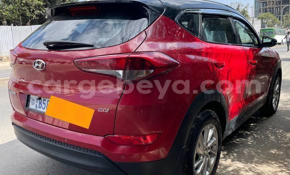 ይግዙ ያገለገለ Hyundai Tucson ቀይ መኪና በ አዲስ አበባ በ ኢትዮጵያ ይግዙ ያገለገለ Hyundai Tucson ቀይ መኪና በ አዲስ አበባ በ ኢትዮጵያ