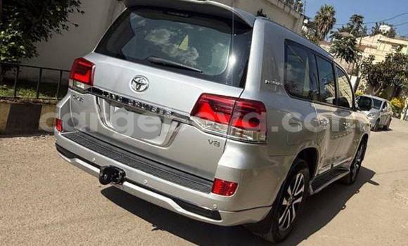 ይግዙ ያገለገለ Toyota Land Cruiser ሌላ መኪና በ አዲስ አበባ በ ኢትዮጵያ ይግዙ ያገለገለ Toyota Land Cruiser ሌላ መኪና በ አዲስ አበባ በ ኢትዮጵያ