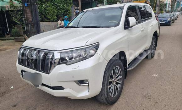 ይግዙ ያገለገለ Toyota Land Cruiser Prado ነጭ መኪና በ Addis ababa በ Africa ይግዙ ያገለገለ Toyota Land Cruiser Prado ነጭ መኪና በ Addis ababa በ Africa