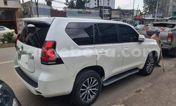 ይግዙ ያገለገለ Toyota Land Cruiser Prado ነጭ መኪና በ Addis ababa በ Africa ይግዙ ያገለገለ Toyota Land Cruiser Prado ነጭ መኪና በ Addis ababa በ Africa