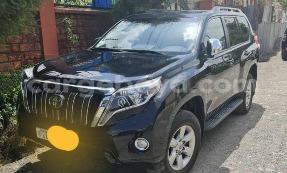 Buy Used Toyota Land Cruiser Prado Other Car in Addis ababa in Africa