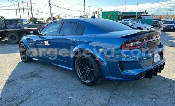 Buy Used Dodge Charger Blue Car in Addis–Ababa in Ethiopia Buy Used Dodge Charger Blue Car in Addis–Ababa in Ethiopia