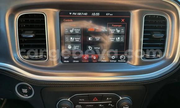 Buy Used Dodge Charger Blue Car in Addis–Ababa in Ethiopia Buy Used Dodge Charger Blue Car in Addis–Ababa in Ethiopia