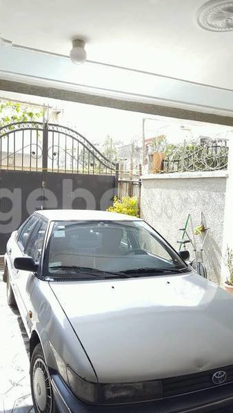 Big with watermark 14316981 10210707138857845 8349215952595816907 n