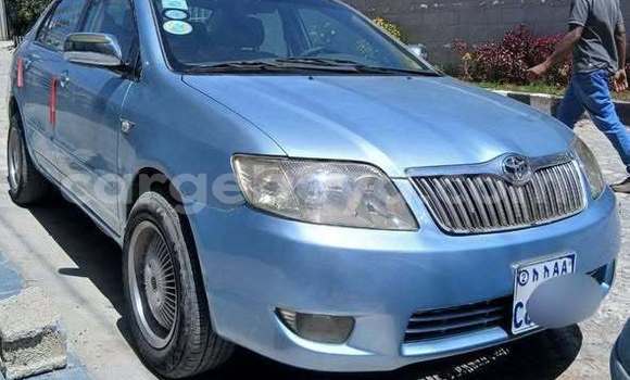 Buy Used Toyota Corolla Blue Car in Addis ababa in Africa Buy Used Toyota Corolla Blue Car in Addis ababa in Africa