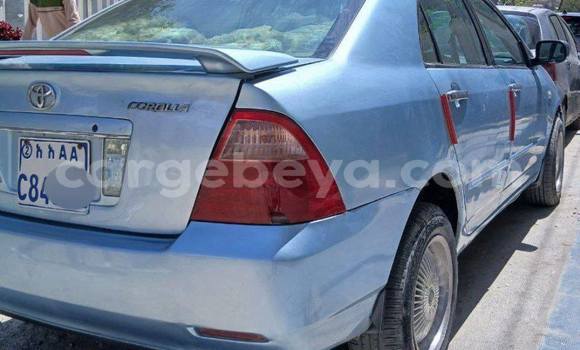 Buy Used Toyota Corolla Blue Car in Addis ababa in Africa Buy Used Toyota Corolla Blue Car in Addis ababa in Africa