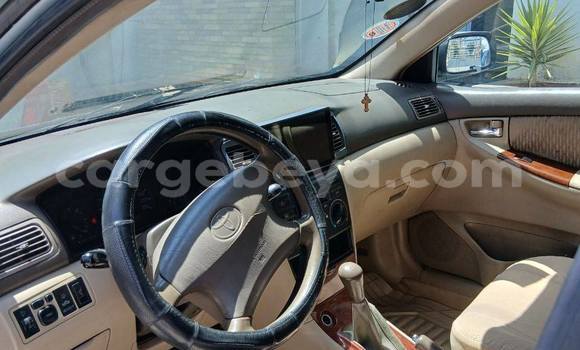 Buy Used Toyota Corolla Blue Car in Addis ababa in Africa Buy Used Toyota Corolla Blue Car in Addis ababa in Africa