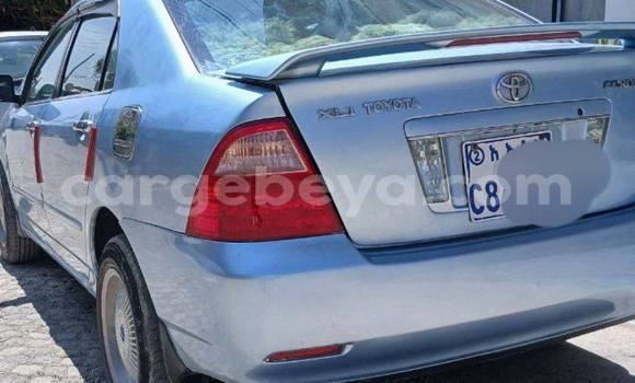 Buy Used Toyota Corolla Blue Car in Addis ababa in Africa Buy Used Toyota Corolla Blue Car in Addis ababa in Africa