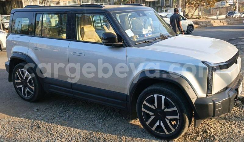 Big with watermark faw oley africa addis ababa 13231