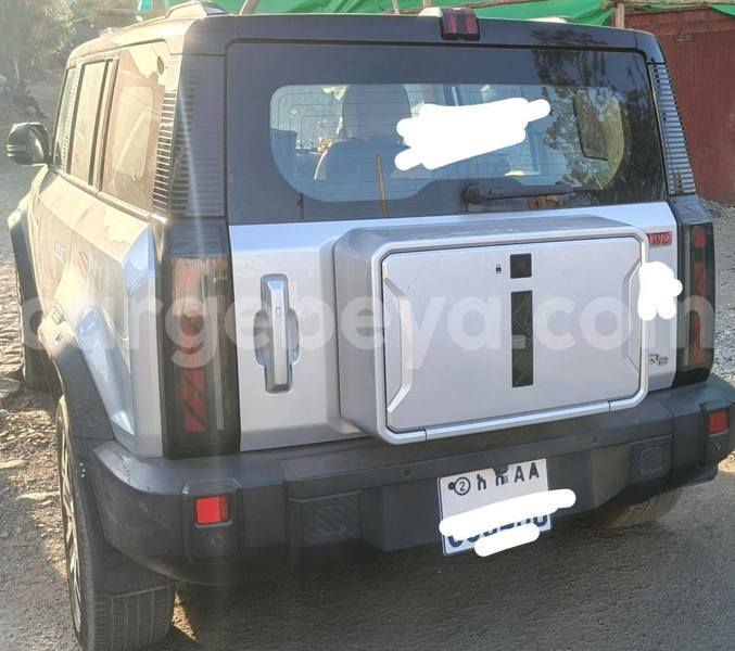 Big with watermark faw oley africa addis ababa 13231