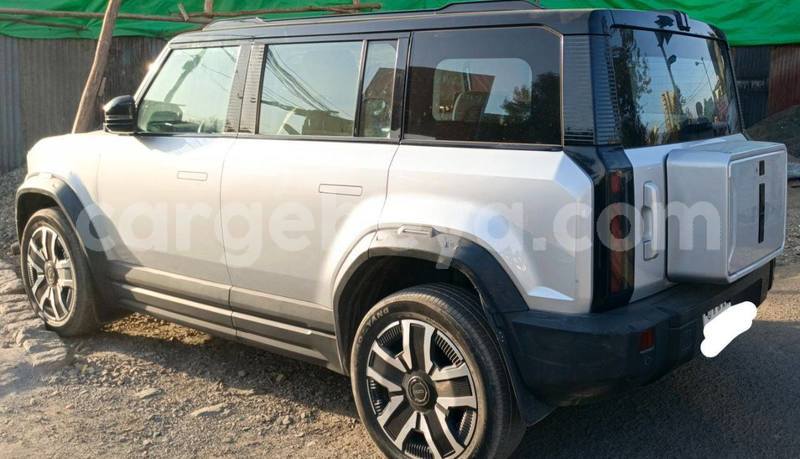 Big with watermark faw oley africa addis ababa 13231