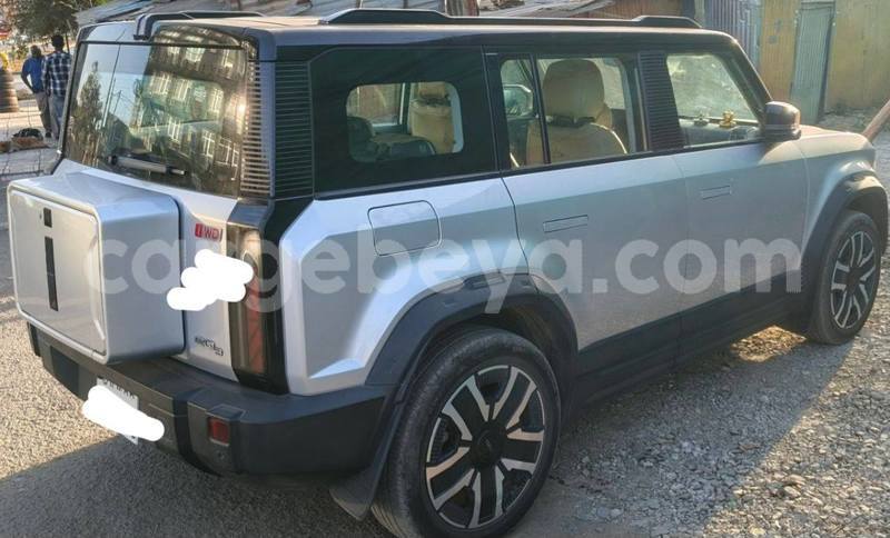 Big with watermark faw oley africa addis ababa 13231