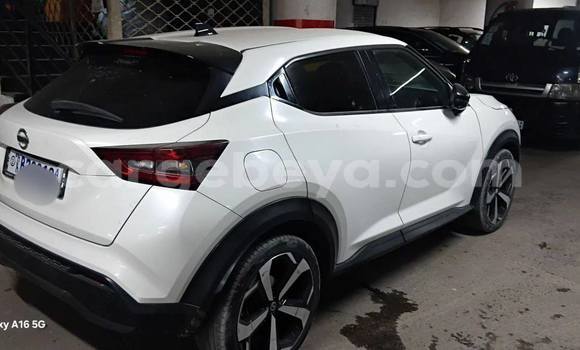 Buy Used Nissan Juke White Car in Addis–Ababa in Ethiopia Buy Used Nissan Juke White Car in Addis–Ababa in Ethiopia