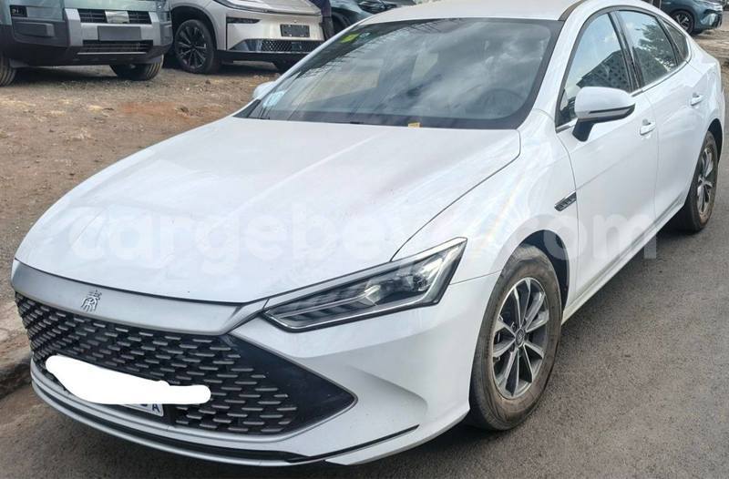 Big with watermark byd qin l africa addis ababa 13240