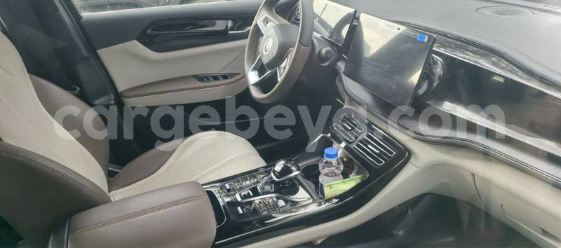 Big with watermark byd qin l africa addis ababa 13240